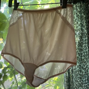 Vintage Pale Pink Nylon Panty . Lace Panel Details . Mushroom Gusset Panties . 6
