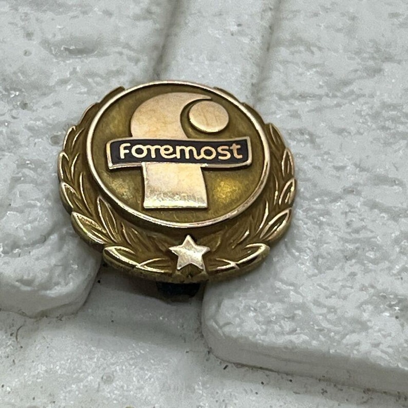 Vintage Foremost Dairy 1/10 10k Gold Fill Employee Service Award Tie ...