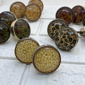 May include: A selection of cabinet knobs with diverse fillings. Some knobs display green beans, others have white beans, and some feature brown seeds. Each knob has a silver-coloured metal base and a clear, rounded top.