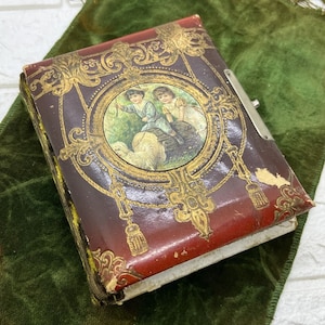 Antique Velvet Victorian Photograph Photo Album, Celluloid Cover w Photos