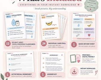 Electrolyte Nursing Flashcards | Visual Mnemonics, Active Recall & Study Guide | Digital Download PDF