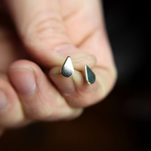 Pu&ograve; includere: Un paio di orecchini d'argento a forma di goccia.