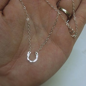 May include: A silver horseshoe pendant necklace with a delicate chain. The horseshoe is textured and has a hammered finish.