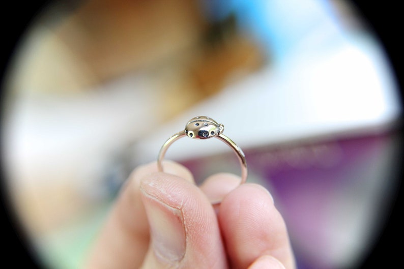 K&ouml;nnte beinhalten: Ein silberner Ring mit einem Marienk&auml;fer-Design. Der Marienk&auml;fer hat schwarze Punkte und einen silbernen K&ouml;rper.