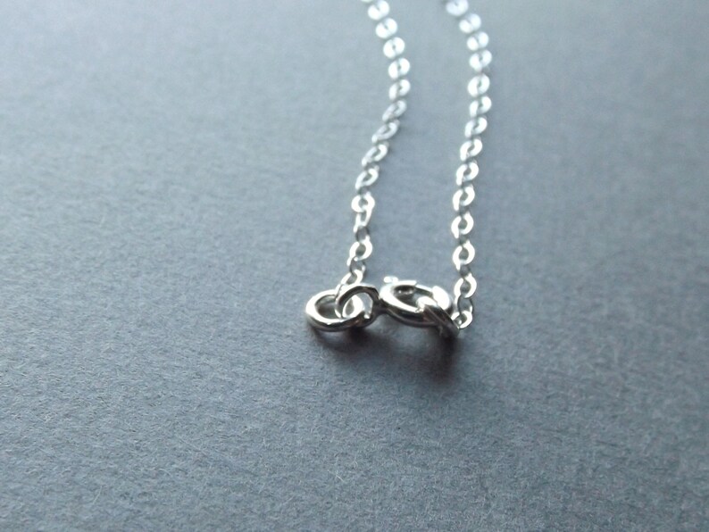 May include: A silver chain necklace with a lobster clasp closure.
