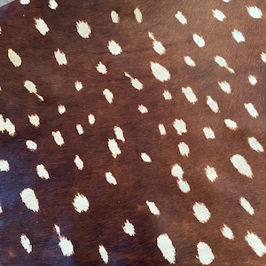 Axis Deer Cowhide Leather 12”x12”