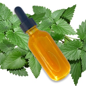 May include: A clear glass bottle with a black dropper top filled with a golden yellow liquid. The bottle is surrounded by green leaves.