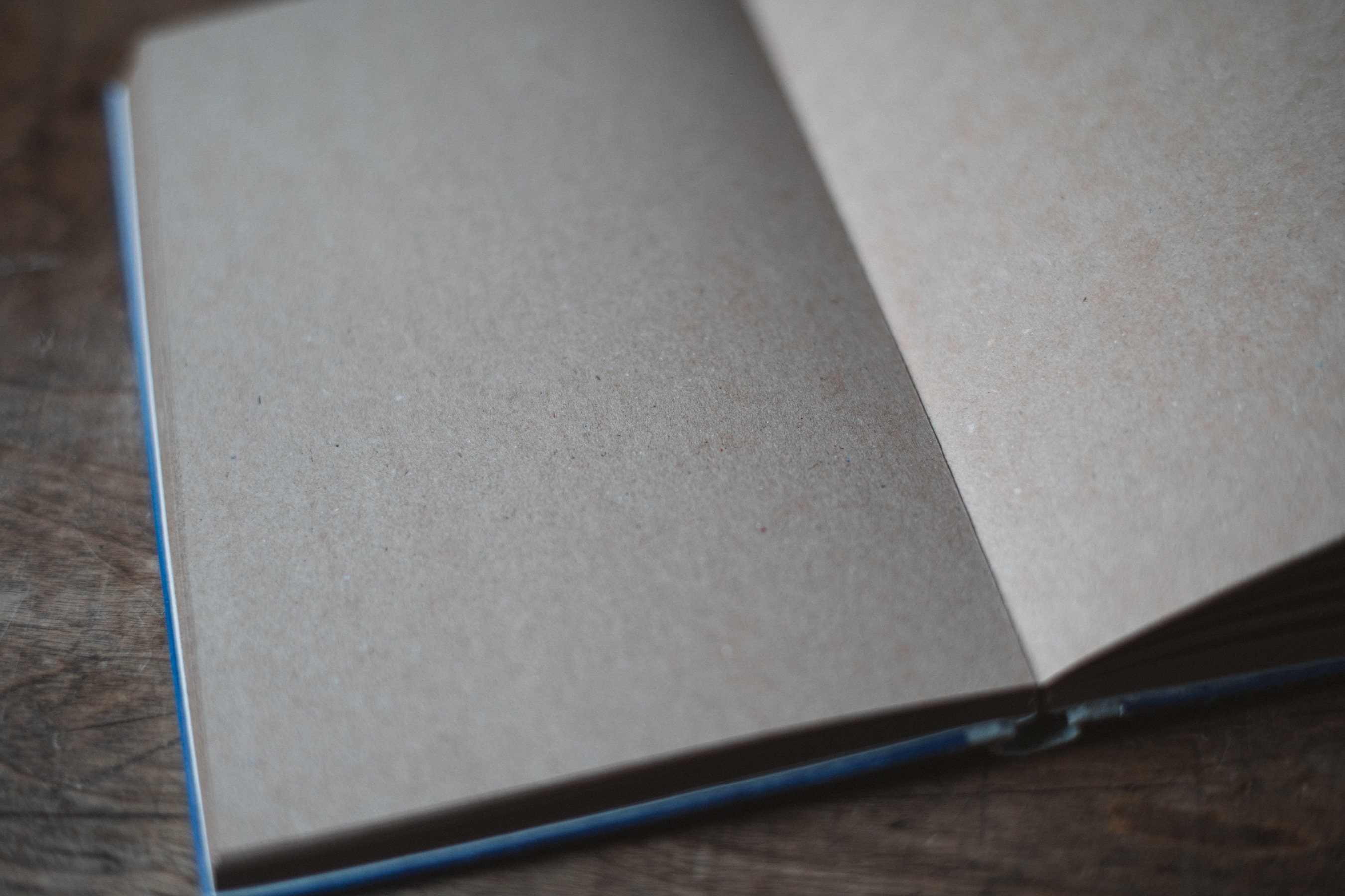 Brown Paper Sketchbook Tartuensis Classic spring Etsy Denmark