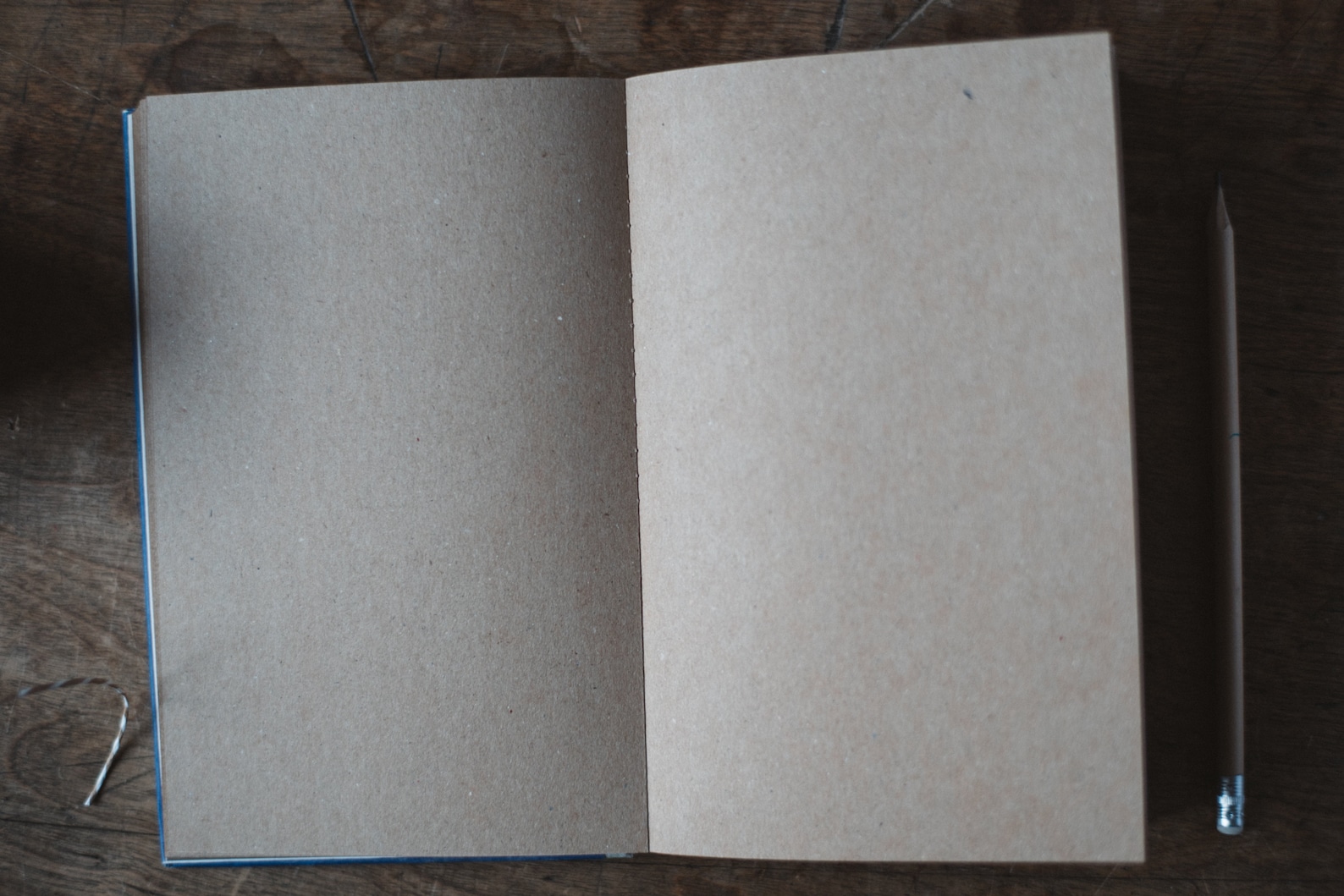 Brown Paper Sketchbook Tartuensis Classic spring Etsy Denmark