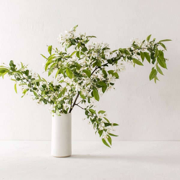 Minimal Vase | Seconds
