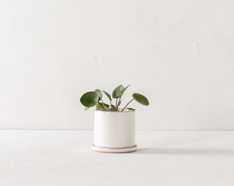 4" Minimal Planter | Stoneware