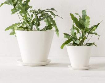 Ivory Planters | Seconds