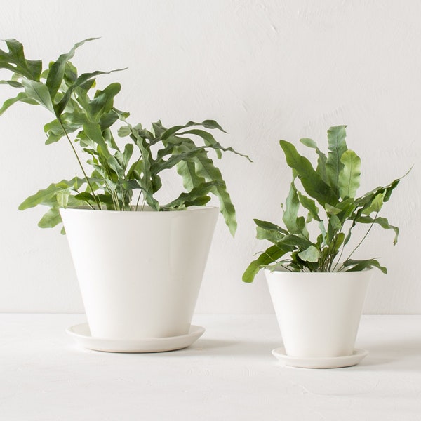 Ivory Planters | Porcelain