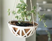 XX Hanging Planter