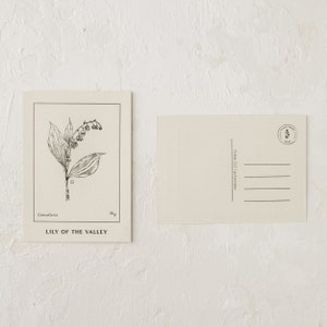 Cartas de lirio de los valles Postcard