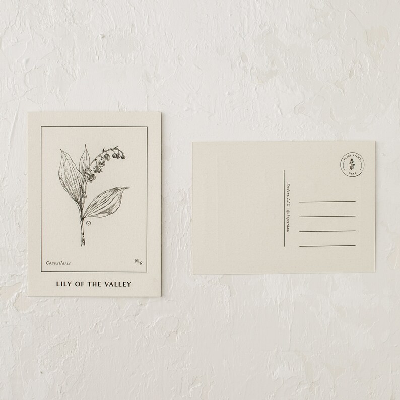 Cartas de lirio de los valles Postcard