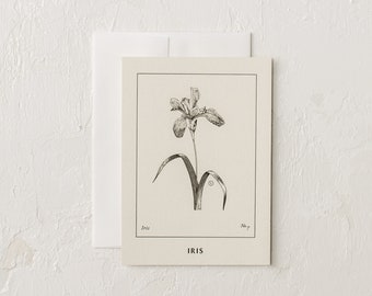 Iris Cards