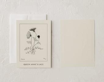 Tarjetas de encaje de la reina Ana