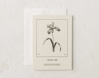 Thank You | Iris Cards
