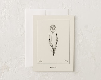 Tulip Cards