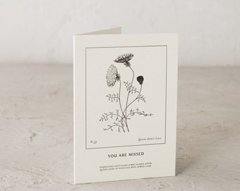 You Are Missed | Queen Anne's Lace Cards