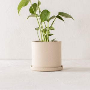 6" Minimal Planter | Seconds | Raw Stoneware