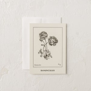 Cartes de renoncule