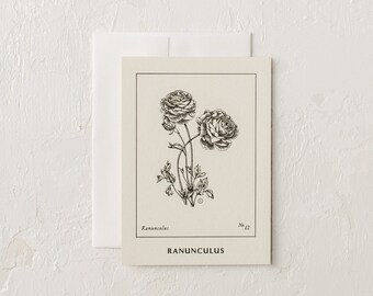 Ranunculus Cards