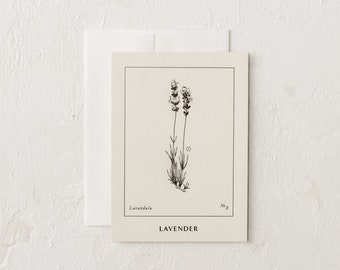 Lavender Cards