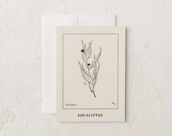 Eucalyptus Cards