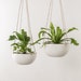 see more listings in the PLANTERS section