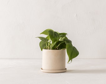 4" Minimal Planter | Seconds | Raw Stoneware