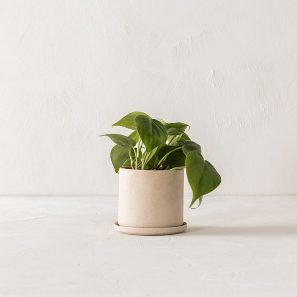 4" Minimal Planter | Raw Stoneware