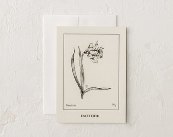 Daffodil Cards
