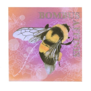 Może przedstawiać: Trzmiel w czarno-żółte paski leci nad różowym tłem z białymi wzorami kwiatowymi. Tekst "BOMBUS TERRESTRIS" jest napisany złotą czcionką w prawym górnym rogu obrazu. Tekst "May we focus on flowers intensely." jest napisany białą czcionką w lewym dolnym rogu obrazu.