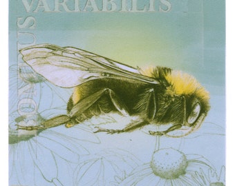 Patch Coucou Bee : polyester recyclé, fer et couture, sublimation des colorants, impression tissu