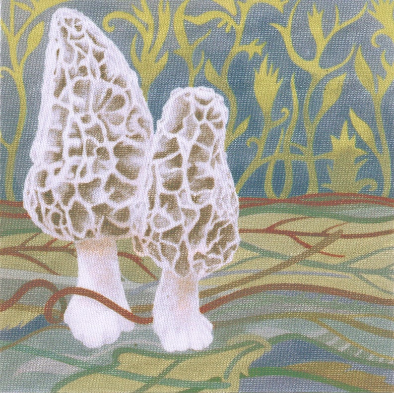 Fabric Patch Morel Mushroom Recycled Polyester Print Iron Etsy
