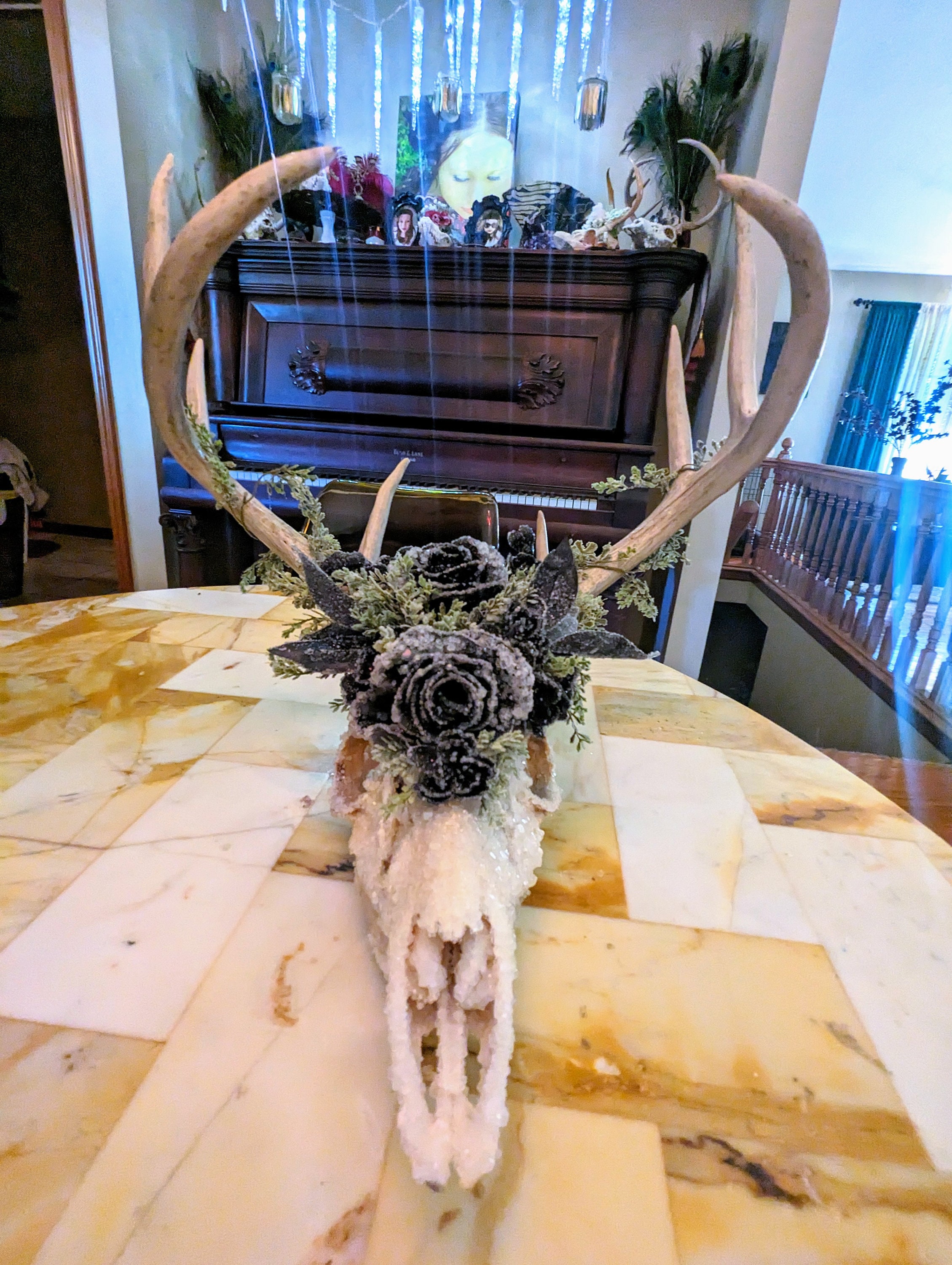 Real Borax Crystalized Deer Skull With Smokey and Clear Quartz Etsy