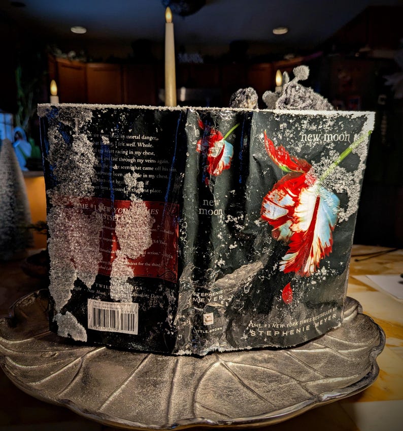 Crystalized "Twilight New Moon" book with Crystalized black flowers image 5