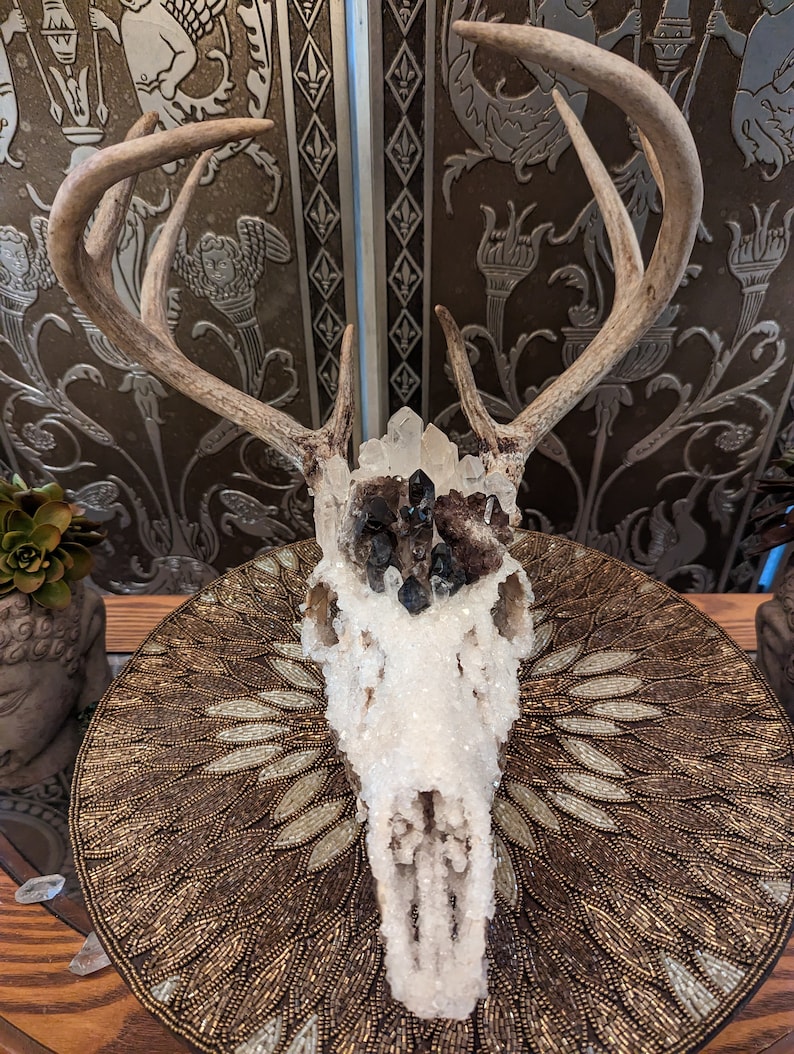 Real Borax Crystalized Deer Skull With Smokey and Clear Quartz and Mica