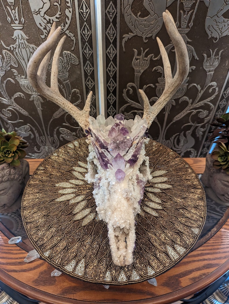 Real Borax Crystalized Deer Skull With Amethyst and Clear Etsy