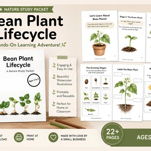 May include: A Bean Plant Lifecycle nature study packet for ages 3 to 5, featuring a spiral-bound workbook and multiple educational activity sheets with watercolor illustrations of plant growth stages, parts of a bean plant, and growth requirements.