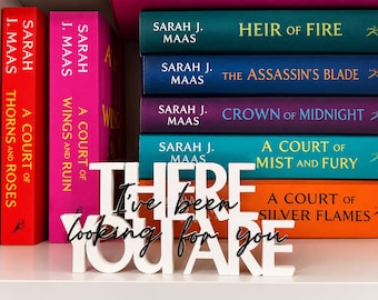 ACOTAR “There you are” bookshelf decor