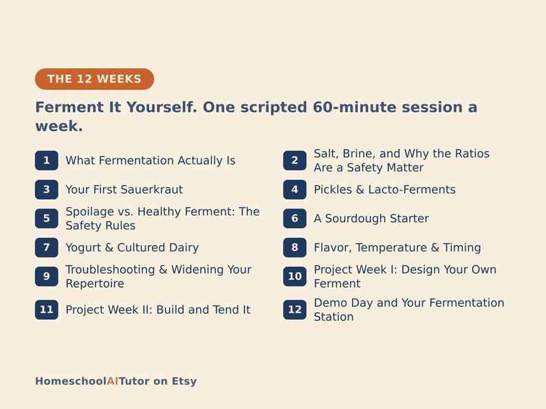 May include: A light beige informational graphic titled THE 12 WEEKS Ferment It Yourself. One scripted 60-minute session a week. It lists twelve numbered dark blue rectangular bullet points detailing fermentation topics from week one to twelve.