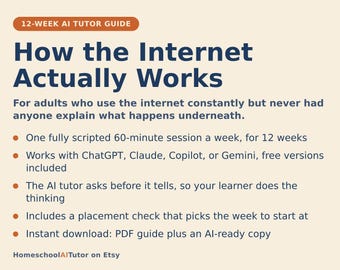 How the Internet Works, 12-Week AI Tutor Course for Beginners, Wifi, DNS, Encryption and Online Privacy, No Coding, PDF