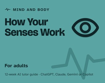 How Your Senses Work, 12-Week AI Tutor Course for Curious Adults, Perception, Optical Illusions, Taste and Hearing, PDF