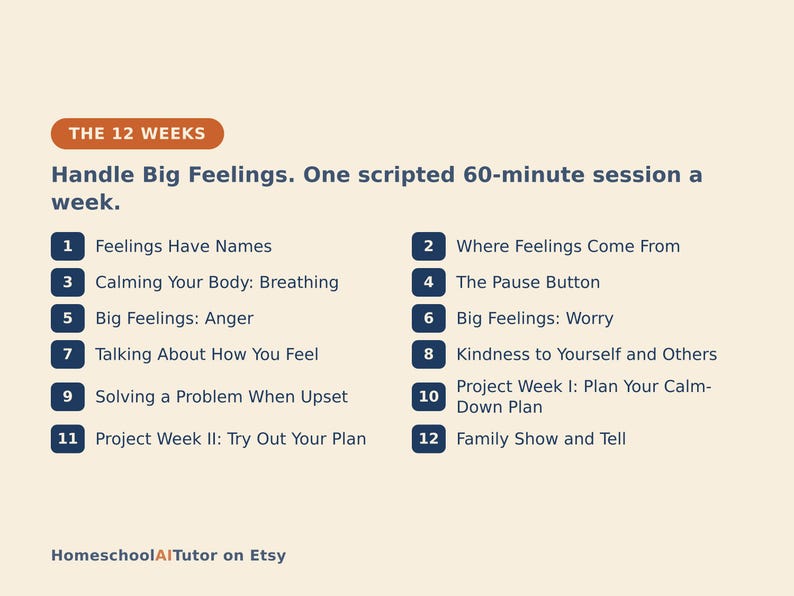 May include: A digital educational chart titled The 12 Weeks: Handle Big Feelings. One scripted 60-minute session a week. It lists twelve numbered topics including Feelings Have Names, Calming Your Body, Anger, Worry, and Kindness to Yourself and Others.