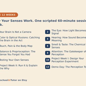 May include: A curriculum outline titled The 12 Weeks: How Your Senses Work. One scripted 60-minute session a week. It lists twelve numbered topics including Your Brain Is Not a Camera, The Eye, Hearing, Touch, Smell & Taste, Balance, Attention, and projects.