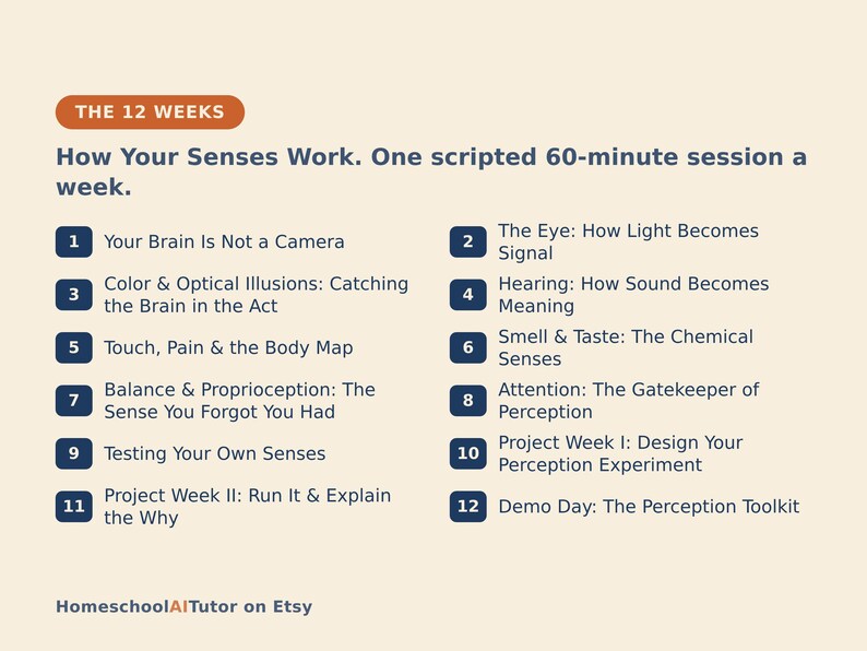 May include: A curriculum outline titled The 12 Weeks: How Your Senses Work. One scripted 60-minute session a week. It lists twelve numbered topics including Your Brain Is Not a Camera, The Eye, Hearing, Touch, Smell & Taste, Balance, Attention, and projects.