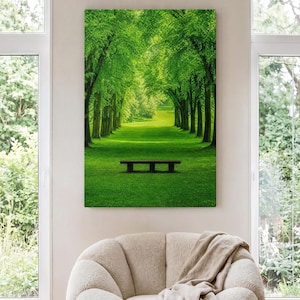 May include: A rectangular wall art print featuring a vibrant green forest scene with a long, tree-lined path leading into the distance. A dark, simple bench sits in the center of the lush grass, framed by tall, leafy trees creating a natural canopy.